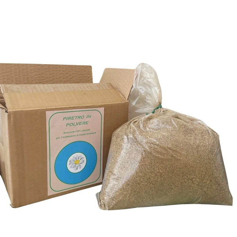 Piretro in Polvere - 1 Kg