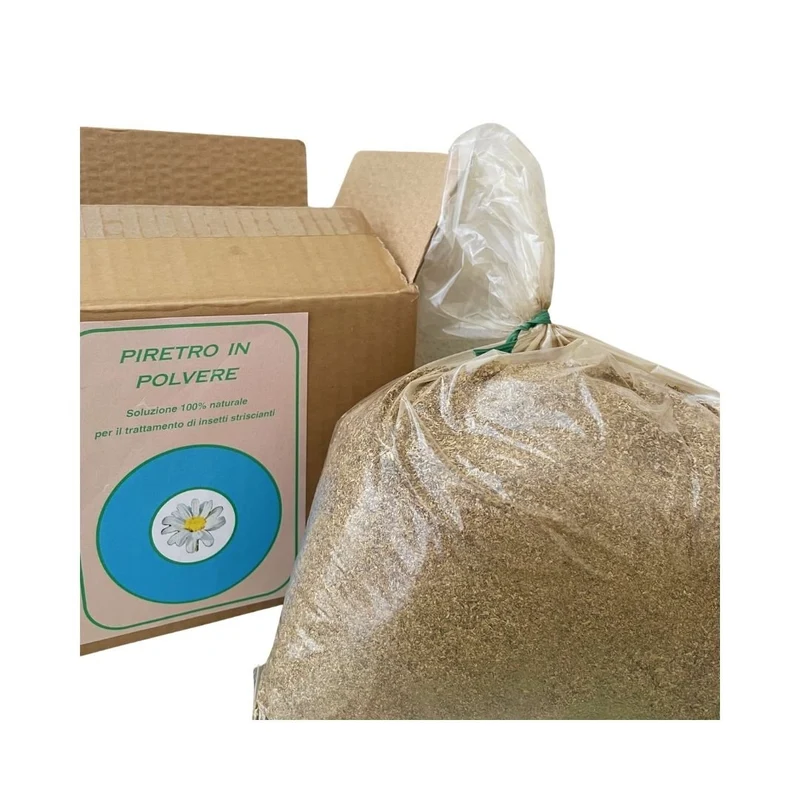 Piretro in Polvere - 1 Kg