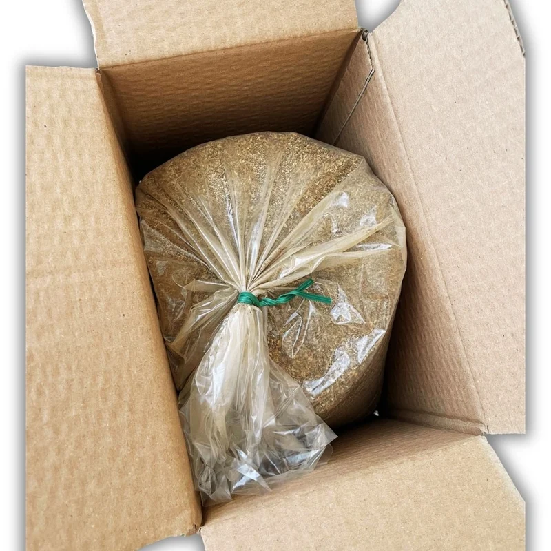 Piretro in Polvere - 1 Kg