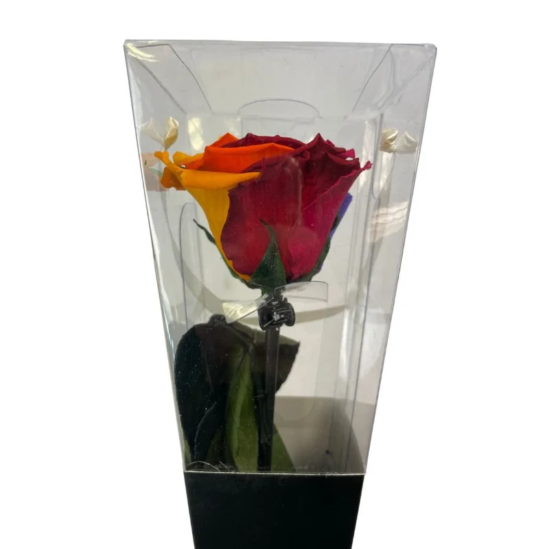 Rosa Stabilizzata Multicolor - 30 Cm