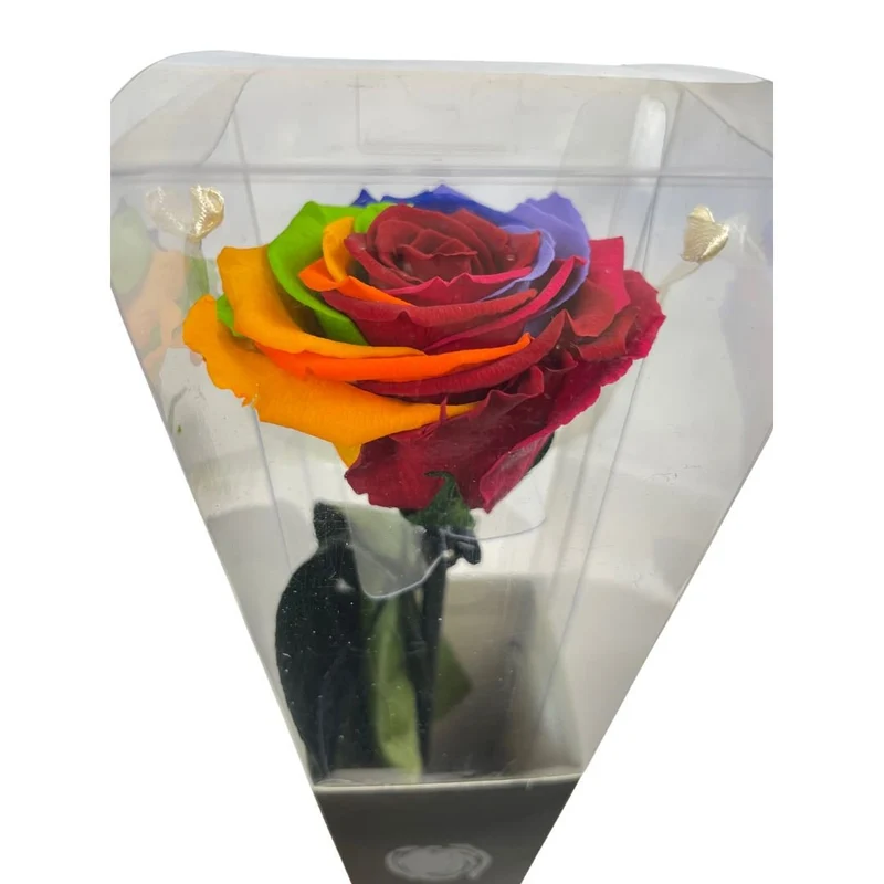 Rosa Stabilizzata Multicolor - 30 Cm