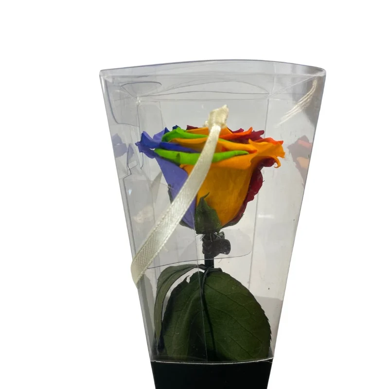 Rosa Stabilizzata Multicolor - 30 Cm