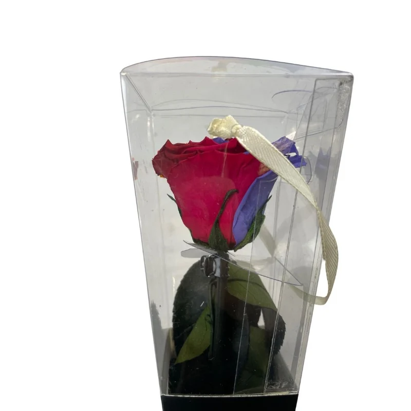 Rosa Stabilizzata Multicolor - 30 Cm