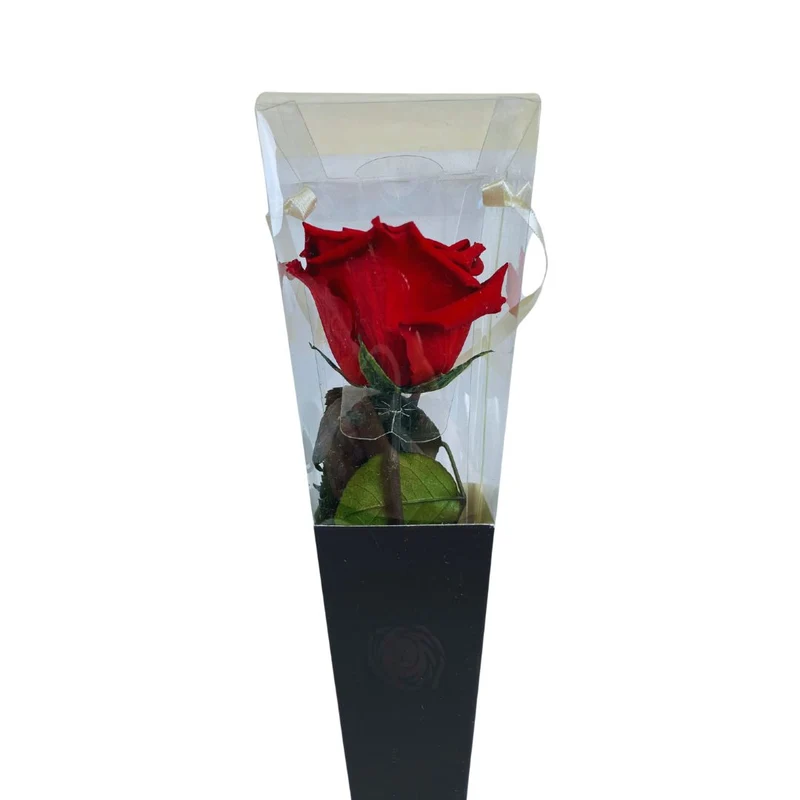Rosa Stabilizzata in cono - Vari colori