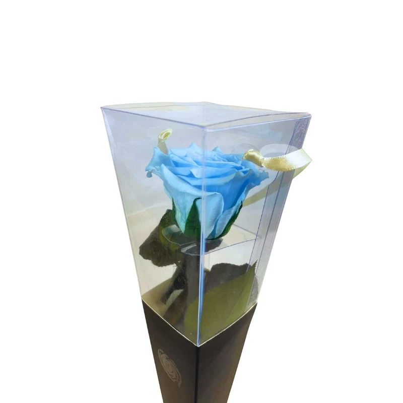 Rosa Stabilizzata in cono - Vari colori