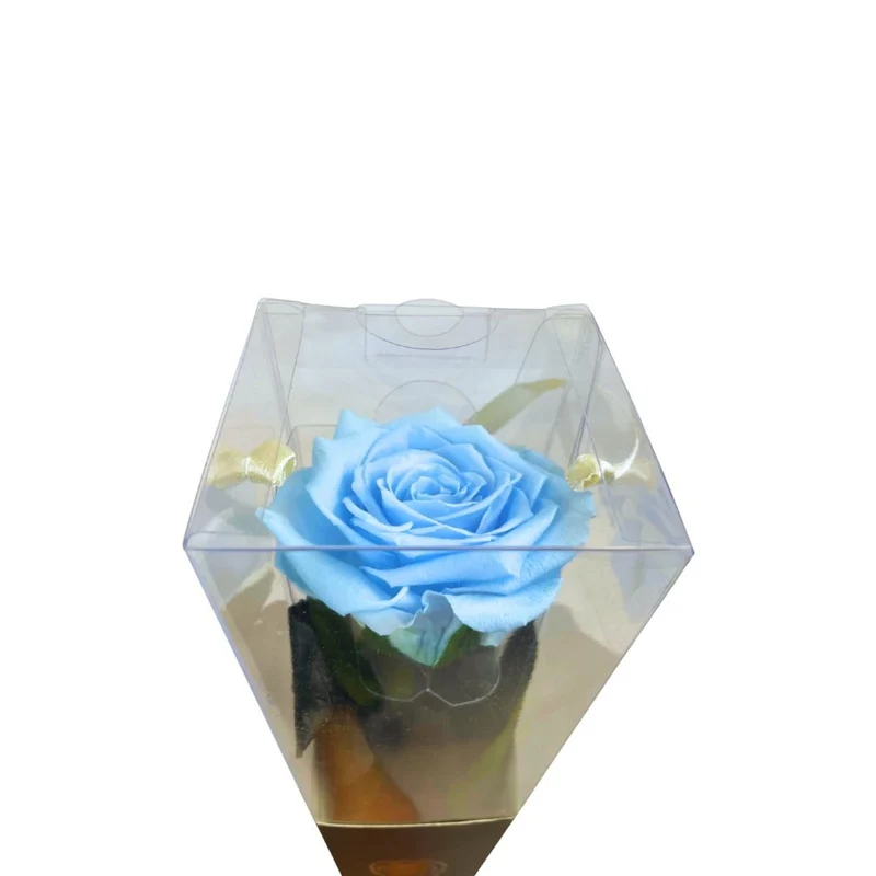 Rosa Stabilizzata in cono - Vari colori