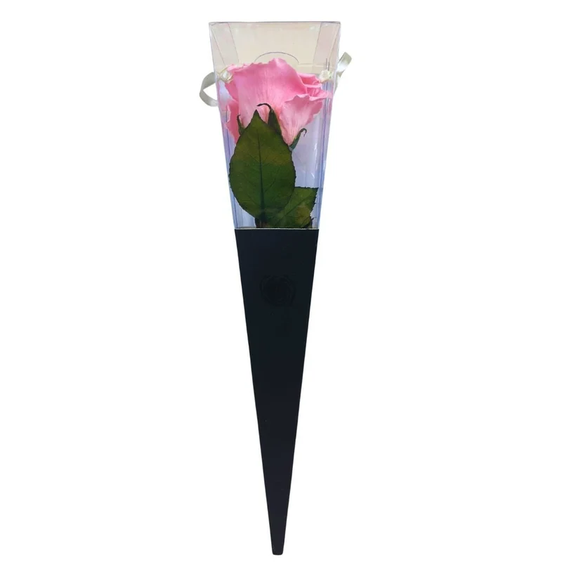 Rosa Stabilizzata in cono - Vari colori