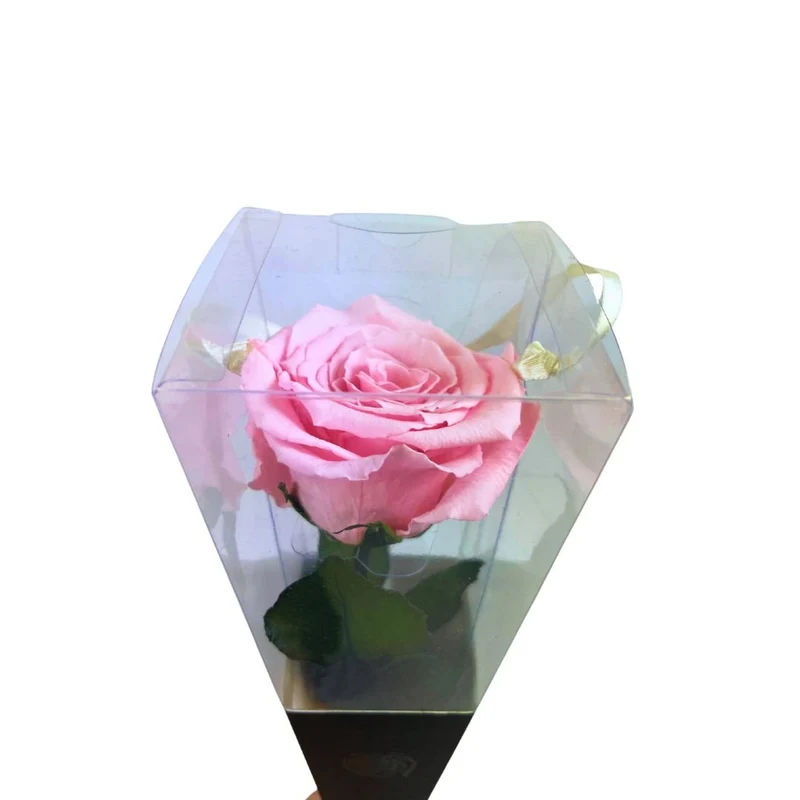 Rosa Stabilizzata in cono - Vari colori