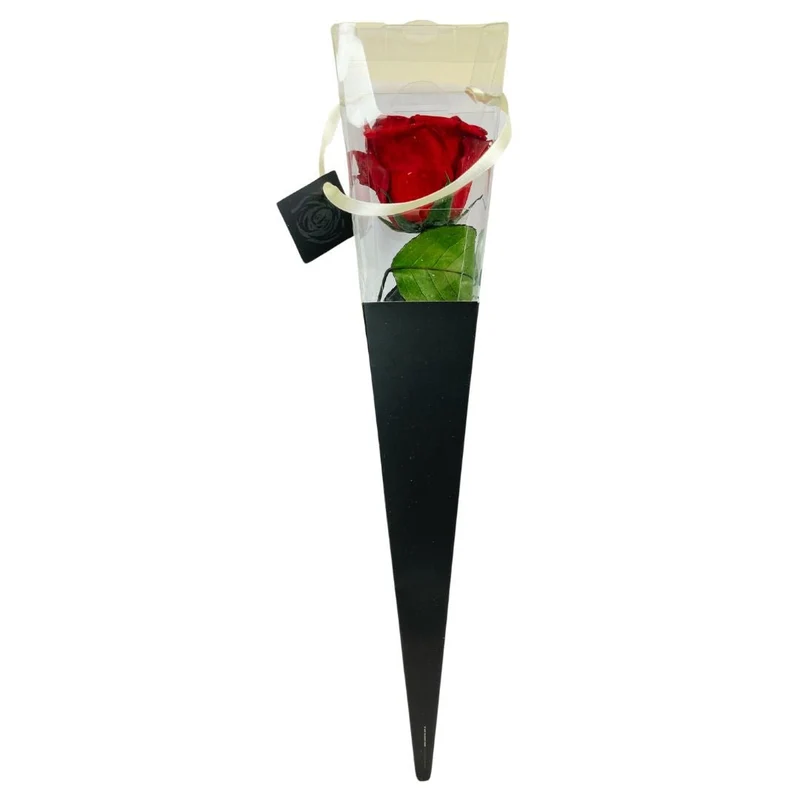 Rosa Stabilizzata in cono - Vari colori