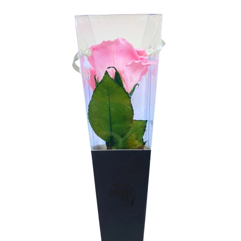 Rosa Stabilizzata in cono - Vari colori