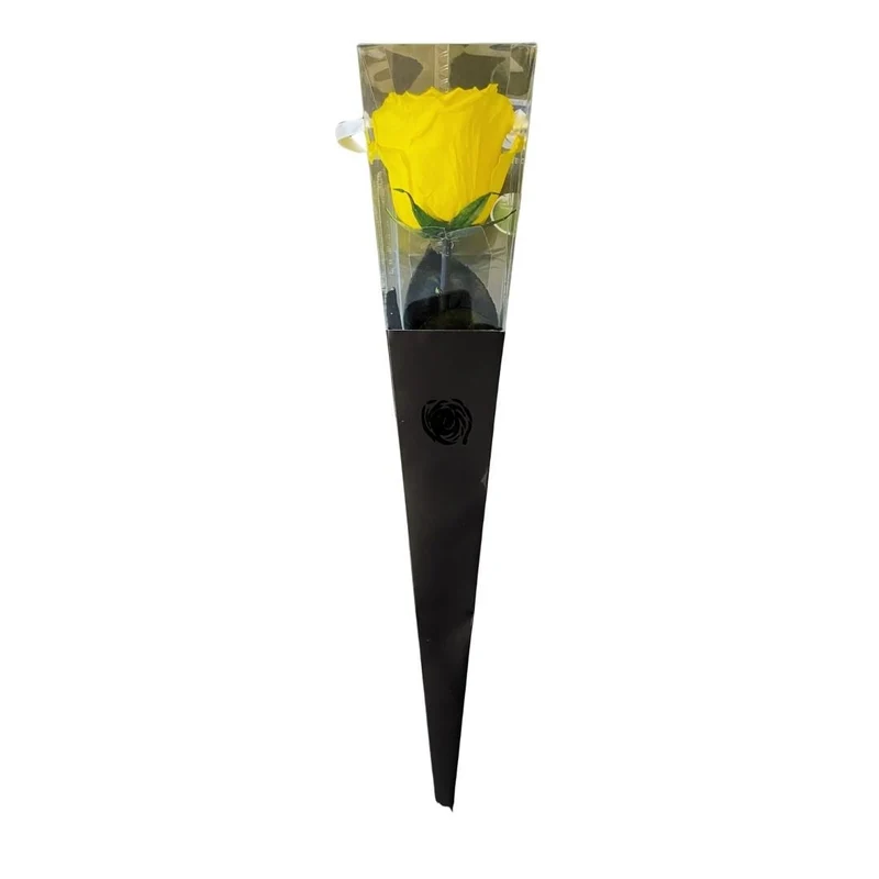 Rosa Stabilizzata in cono - Vari colori
