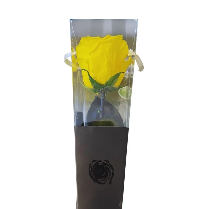 Rosa Stabilizzata in cono - Vari colori
