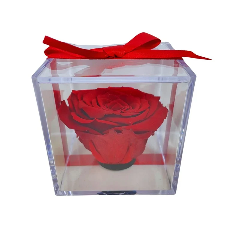 Rosa Stabilizzata in plexiglass