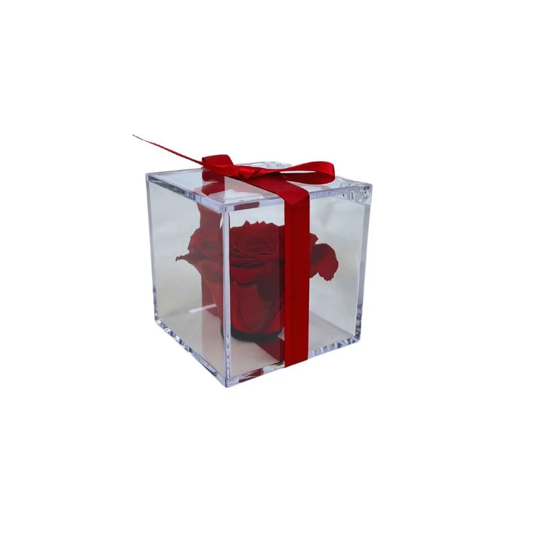 Rosa Stabilizzata in plexiglass