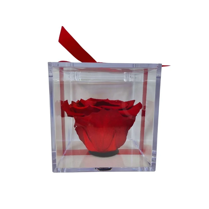 Rosa Stabilizzata in plexiglass