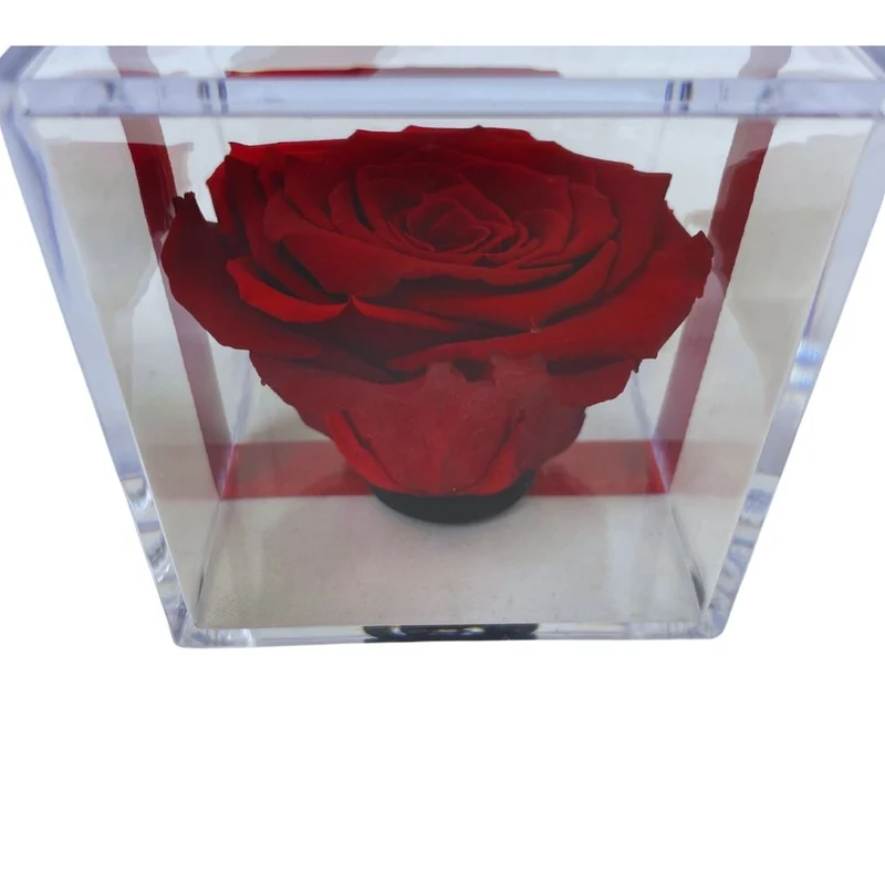 Rosa Stabilizzata in plexiglass