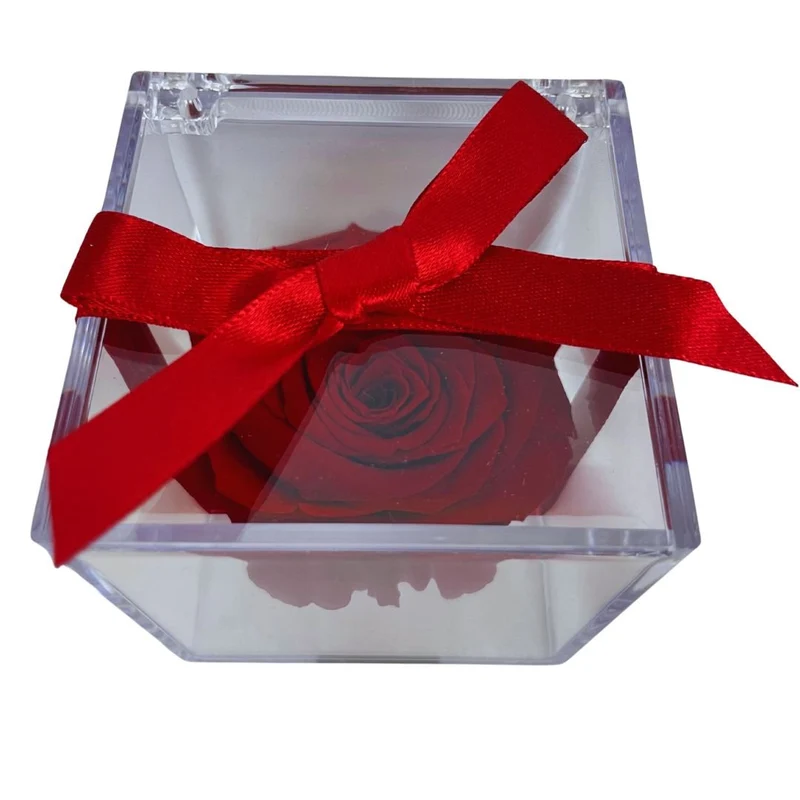 Rosa Stabilizzata in plexiglass