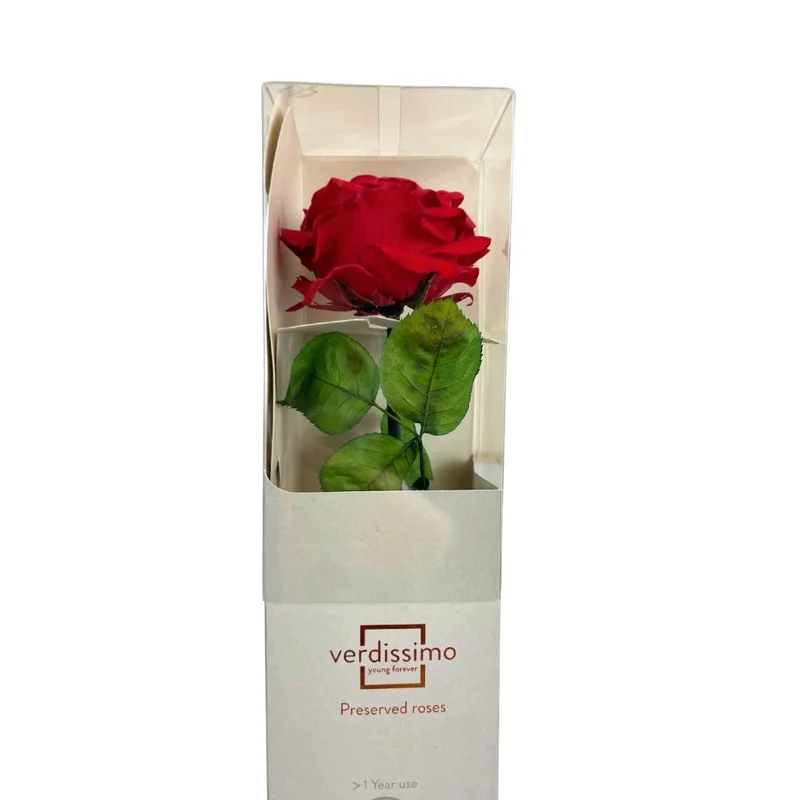 Rosa Stabilizzata Grande