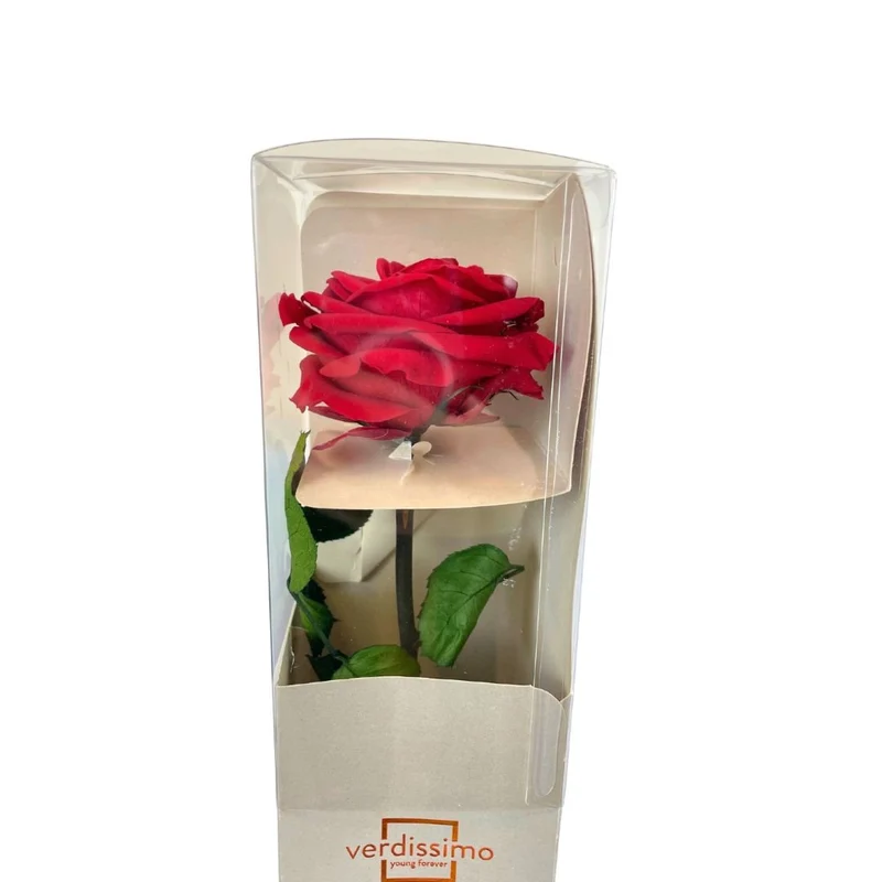 Rosa Stabilizzata Grande