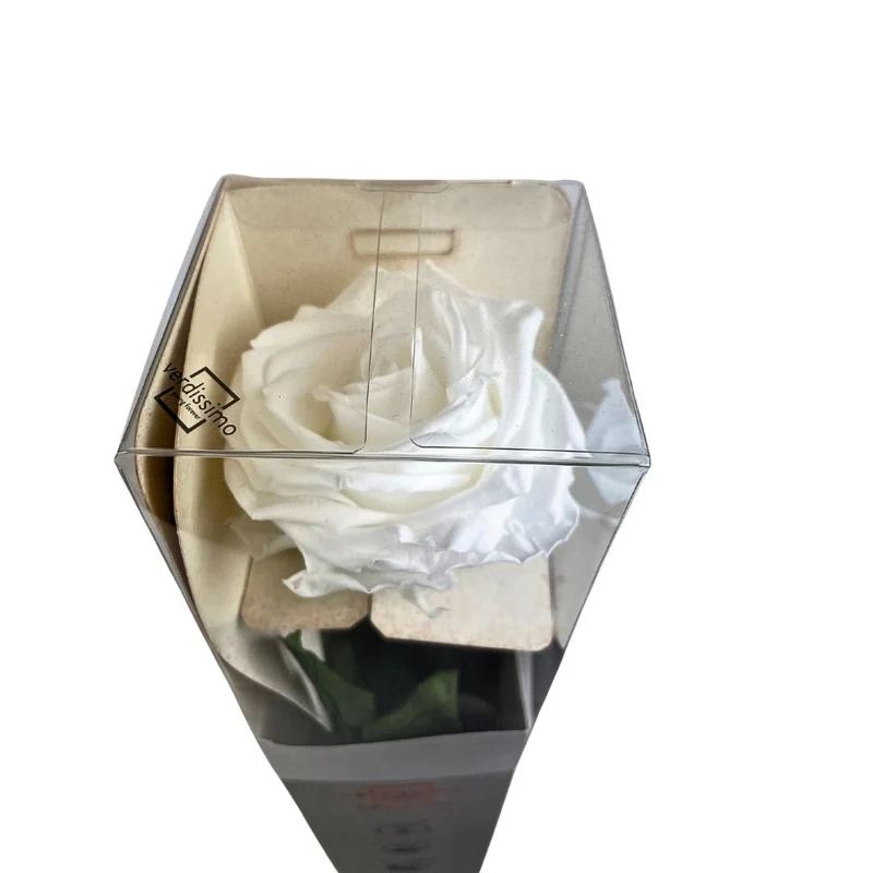 Rosa Stabilizzata Grande