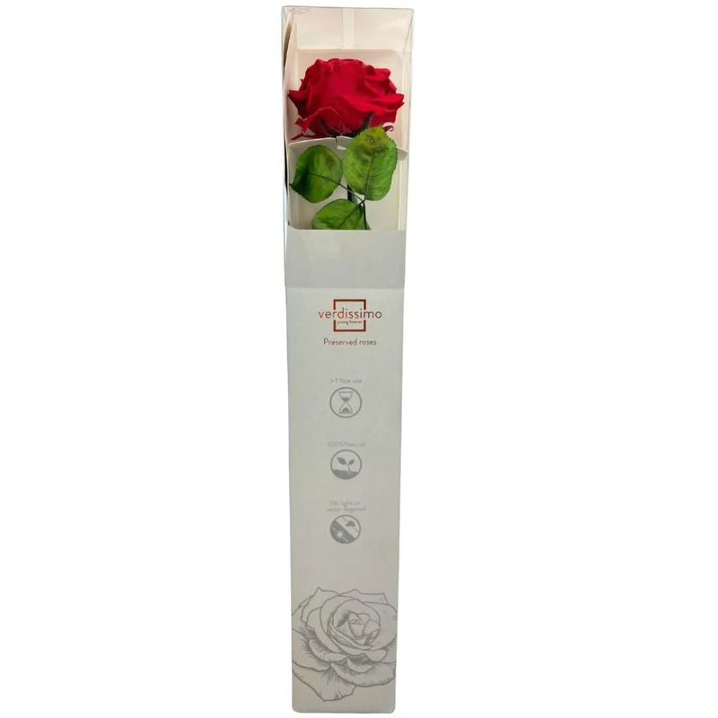 Rosa Stabilizzata Grande