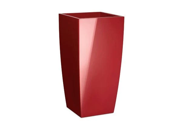 Vaso Infinity