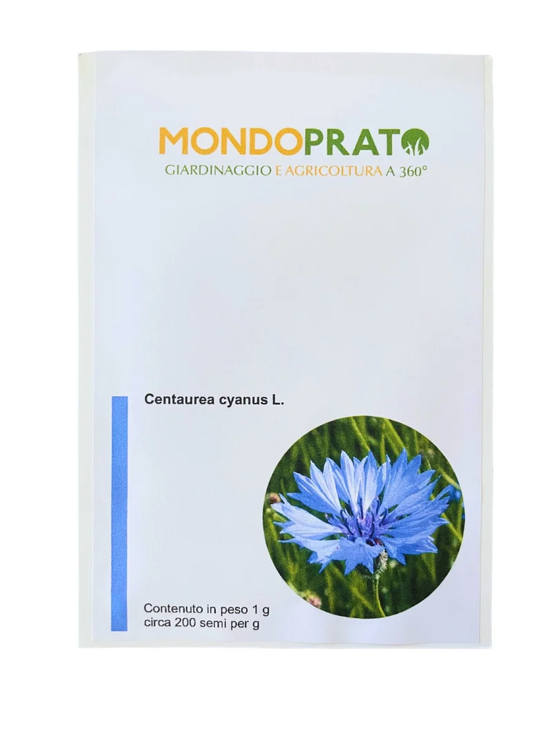 Semi di Fiordaliso