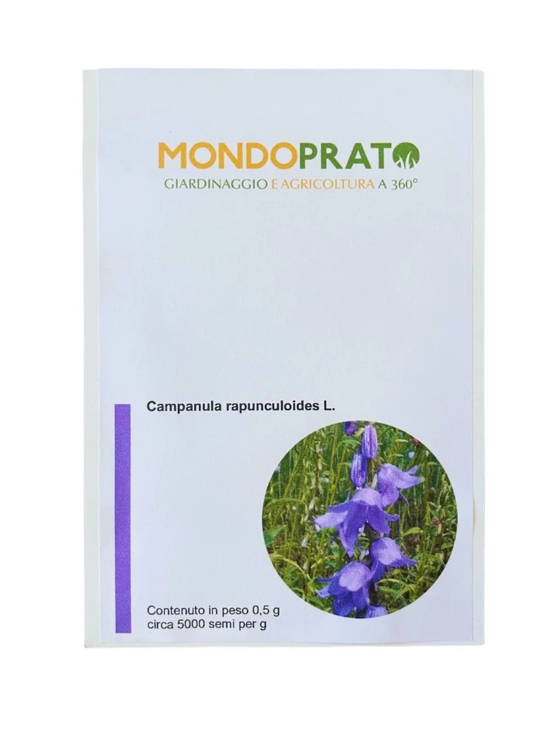 Semi di Campanula