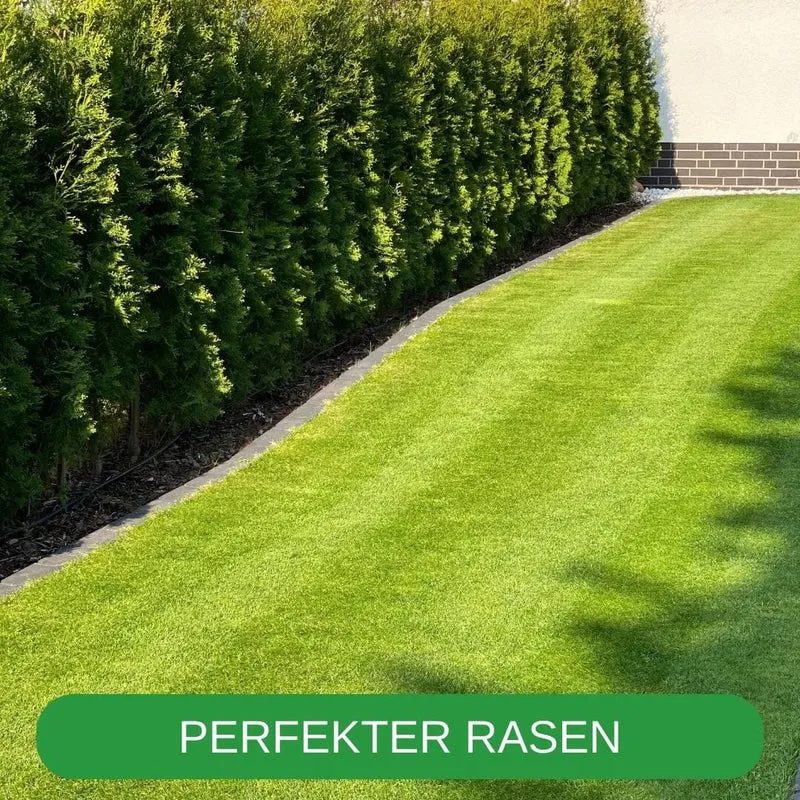 Rasenrakel RISISANI Premium XL-120 in acciaio inox