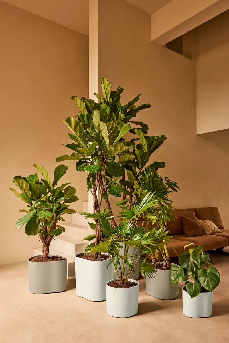 Vasi da Interno Design | Elho Eden