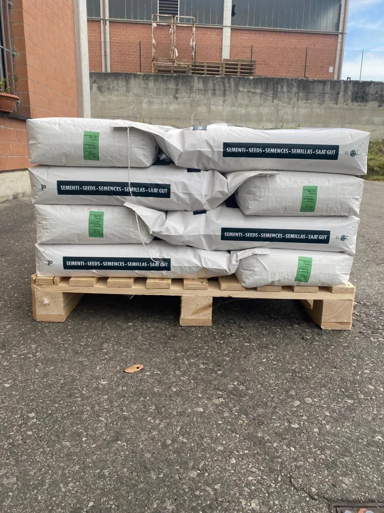 Mix Prato Explorer - 20 sacchi da 10 Kg