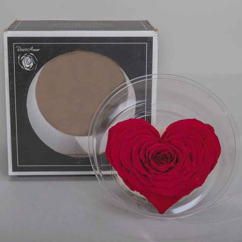 Rosa Stabilizzata a forma di Cuore - 2 colori