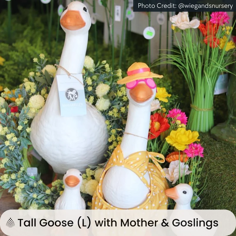 Geese Set Concrete Garden Statues - Massarellis #2825