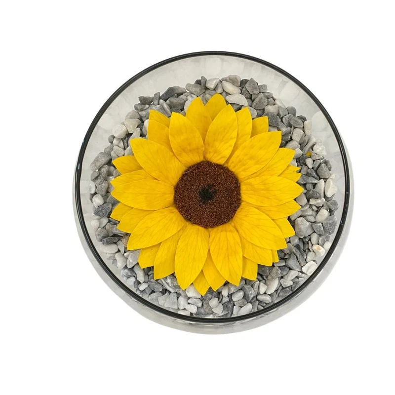 Girasole Stabilizzato in vetro con composizione