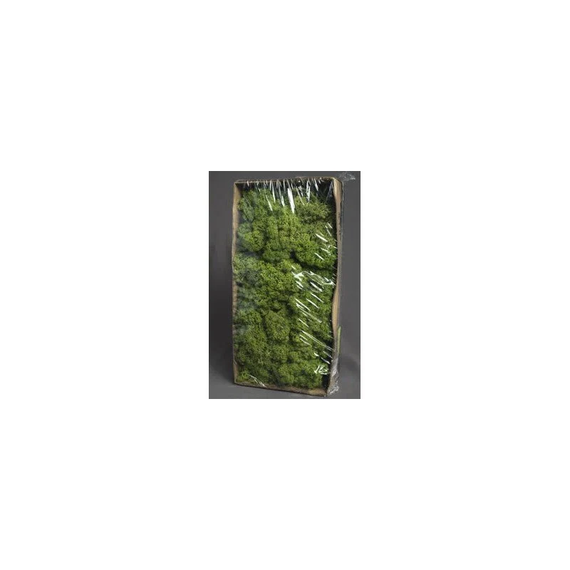 Muschio Stabilizzato Naturale- 500gr
