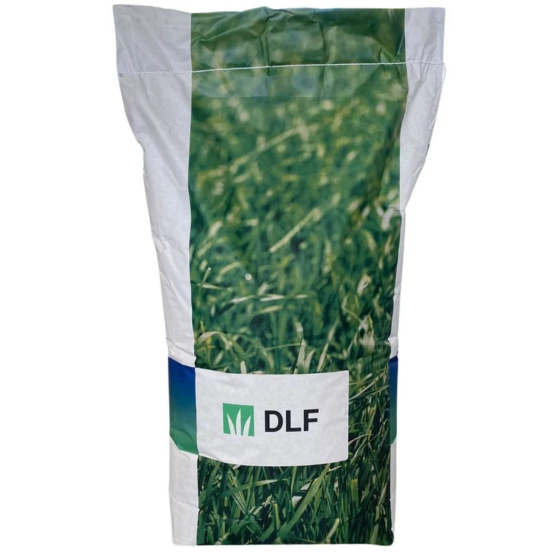Festuca Arundinacea Essential - 20 Kg