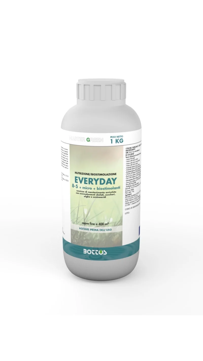 Every Day | Bottos