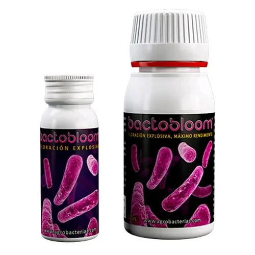 AGROBATTERI - BACTOBLOOM - 10 GR