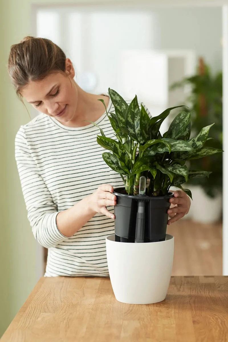 Self Watering Insert