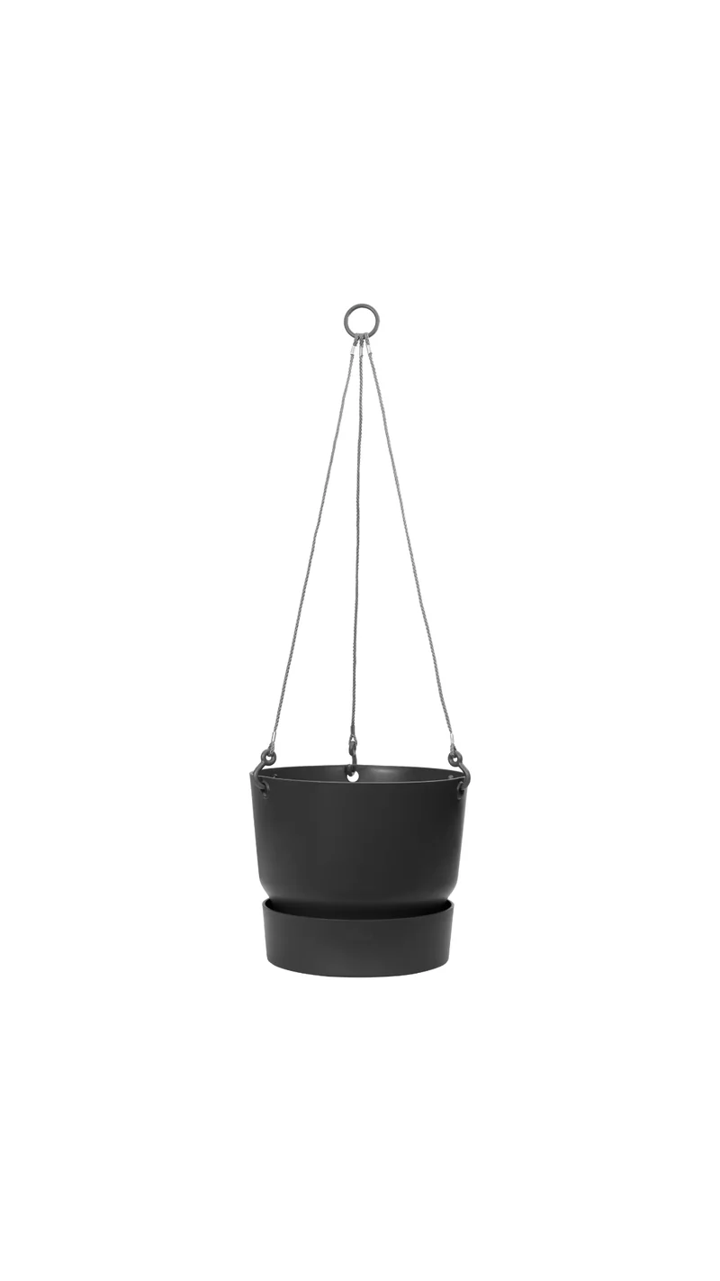 Greenville Hanging Basket