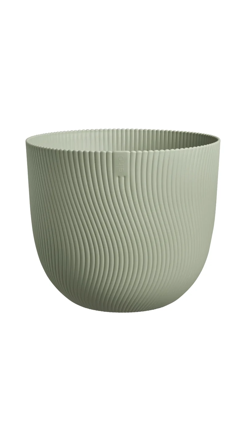 Elho Sereh