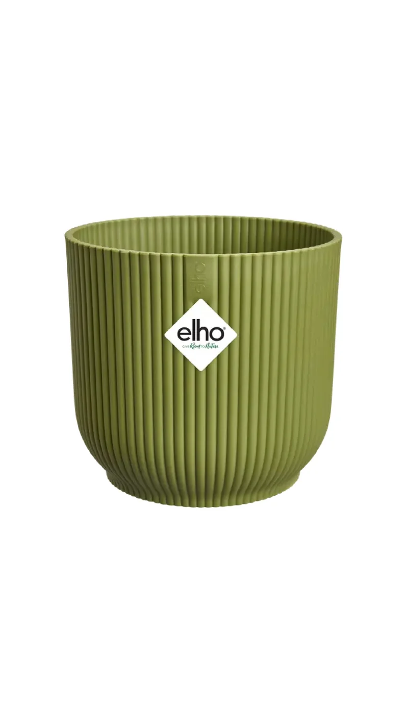 Vaso per Interni