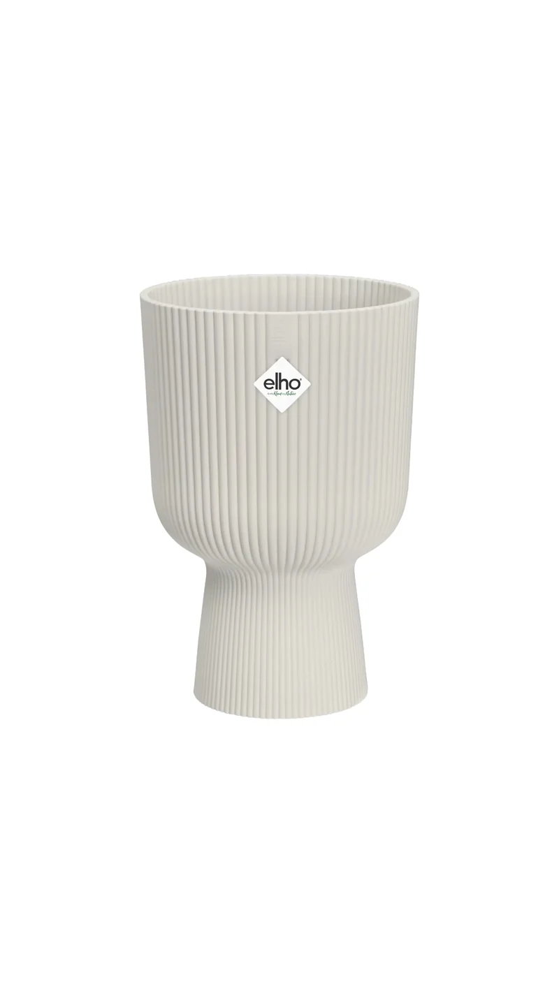 Vaso Pianta Interno