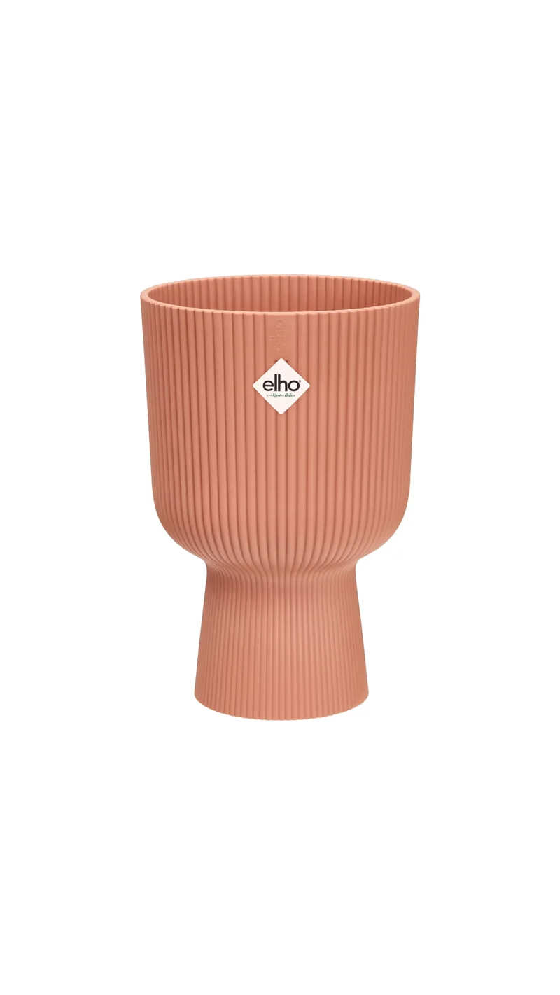 Vaso Pianta Interno