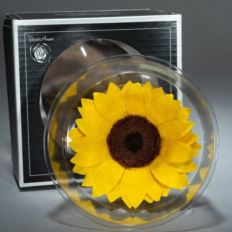 Girasole stabilizzato in scatola