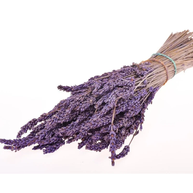 Lavanda stabilizzata in mazzo