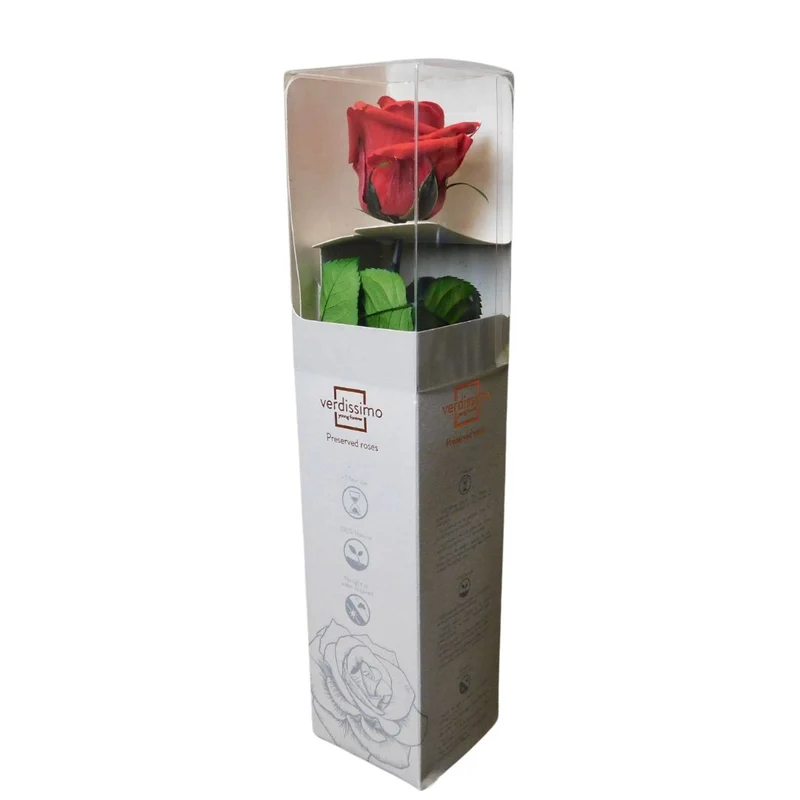Rosa stabilizzata 25cm - Vari colori