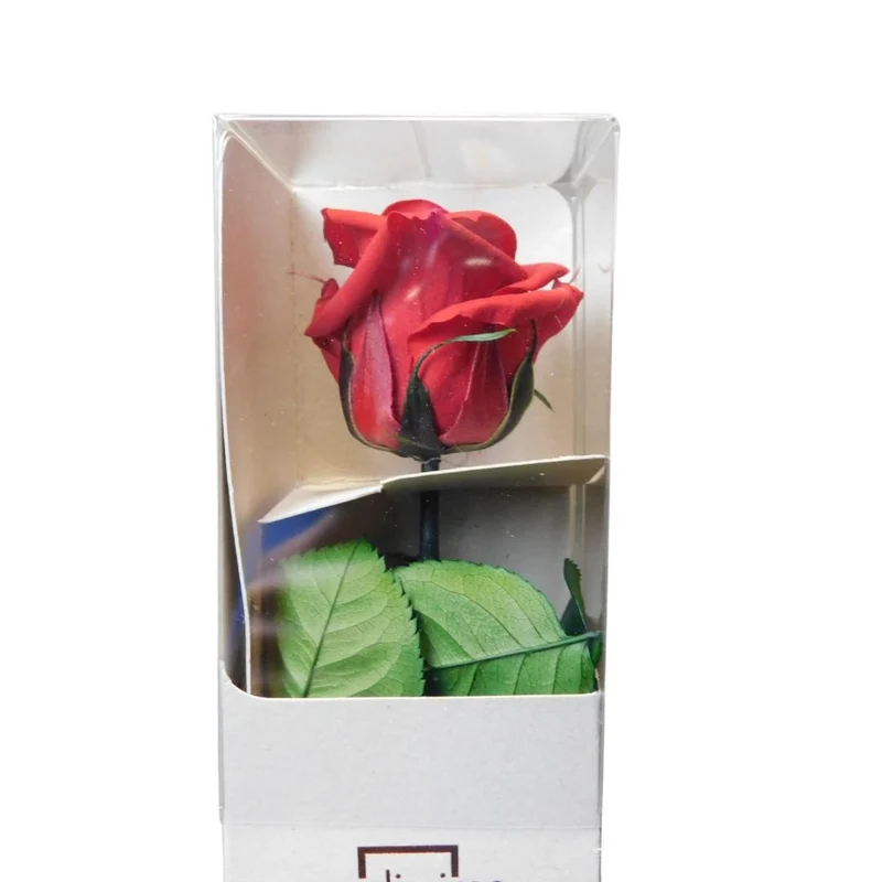 Rosa stabilizzata 25cm - Vari colori