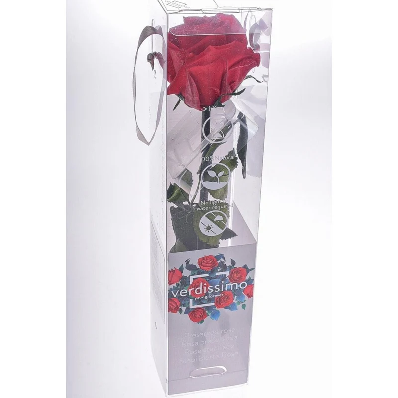 Rosa stabilizzata 25cm - Vari colori