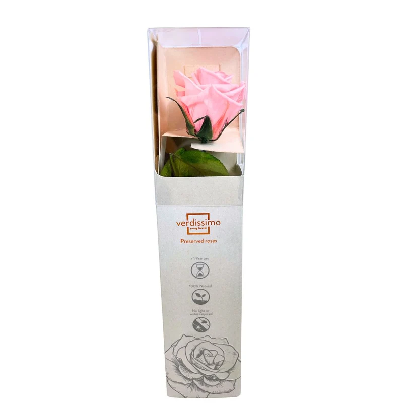 Rosa stabilizzata 25cm - Vari colori